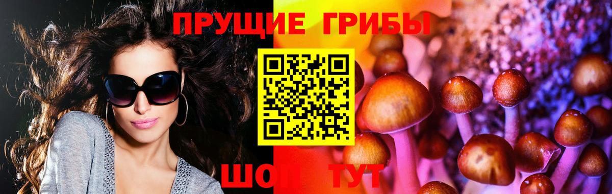 Псилоцибиновые грибы ЛСД Скопин